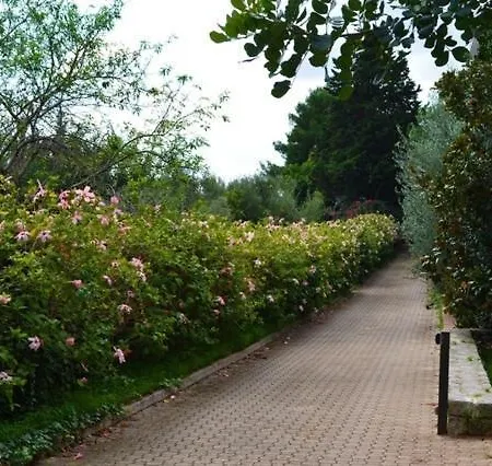 招待所 尤润罗绿色套房住宿加早餐旅馆 贝尔韦代雷