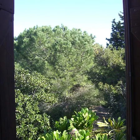 招待所 尤润罗绿色套房住宿加早餐旅馆